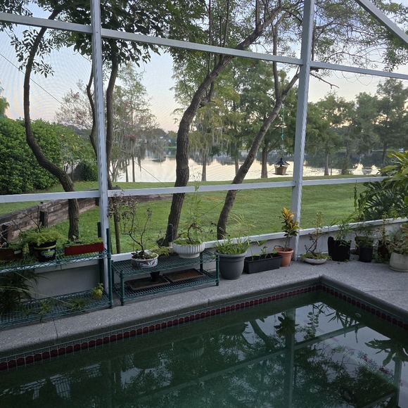 Meet your Posher, Carmin - Picture 3 of 4